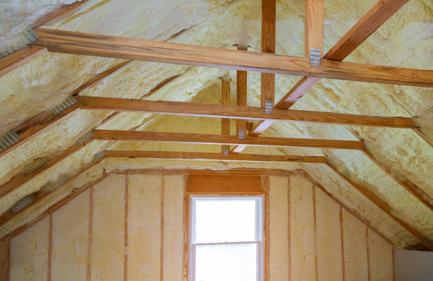 Best Insulation Installation Services in Zebulon, GA