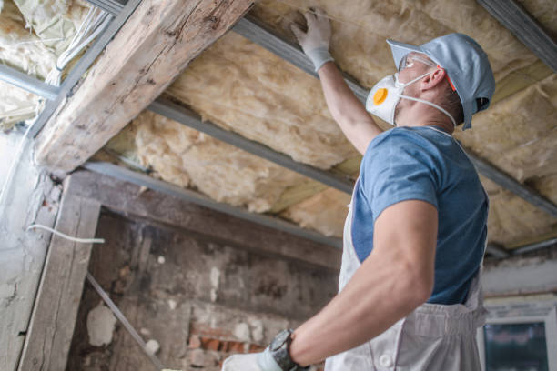Best Energy Efficiency Solutions in Zebulon, GA